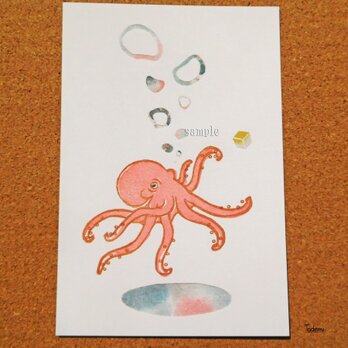 ポストカード 012「蛸」（プリント３点セット）の画像
