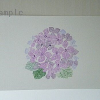 葉書〈紫陽花－2〉の画像
