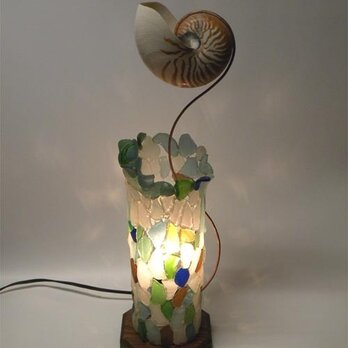 オーム貝のランプの画像