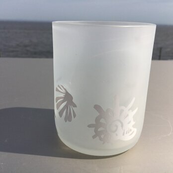 白い貝殻グラスの画像