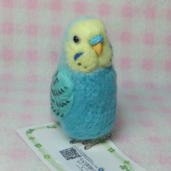 セキセイインコ レインボー mini♪☆ マグネット/ブローチどちらか選択★鼻の色変更可能　受注作成　羊毛インコ　羊毛フェルトの画像