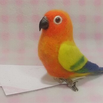 コガネメキシコインコ mini♪☆マグネット/ブローチどちらか選択 羊毛フェルト　受注作成　うちの子オーダー可能の画像