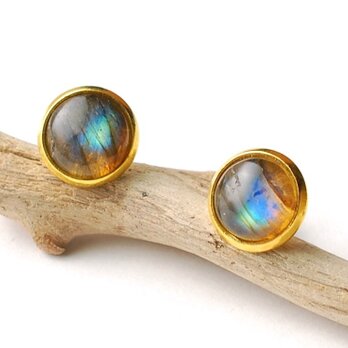 Daisy［Labradorite H］の画像