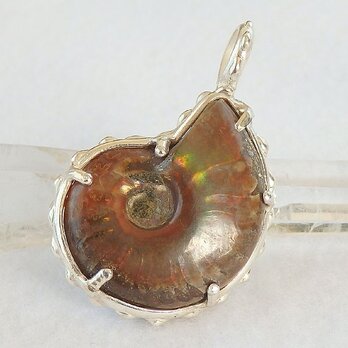 アンモナイトのペンダント