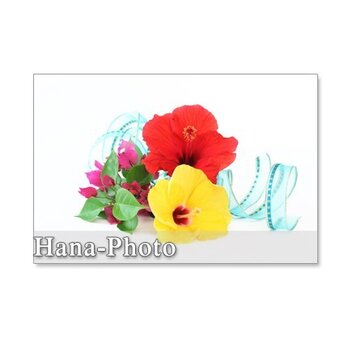1146)　夏の花のアレンジメント　ポストカード5枚組の画像