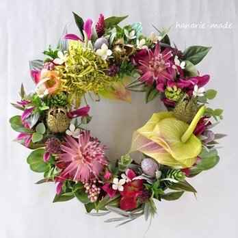 tropical　pink:Pincushion　wreath　no.2の画像