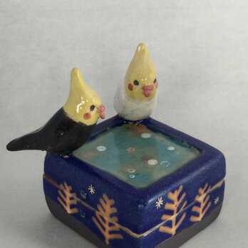 陶ハコ「オカメインコの森」