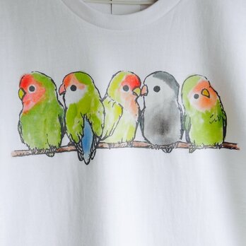 ふんわりコザクラインコの Tシャツの画像