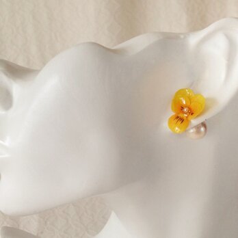 染め花を樹脂加工したビオラピアス・コットンパールキャッチ( SS・イエロー)の画像