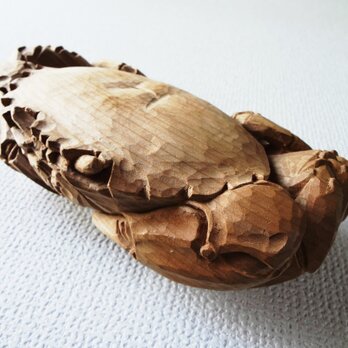泳ぎながら旅をする「ワタリガニ」の画像
