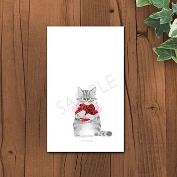 猫　銀トラちゃんメッセージカードの画像