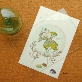 アートカード「金魚」YGr 封筒つきの画像