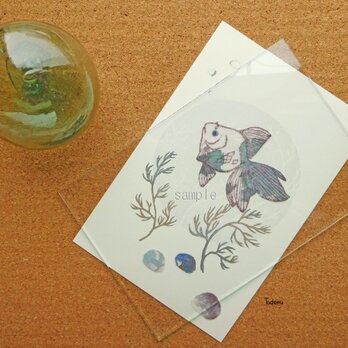 アートカード「金魚」BlGr 封筒つきの画像