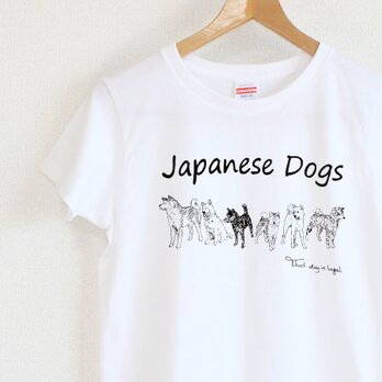 日本犬・柴犬 Tシャツ　レディースタイプの画像