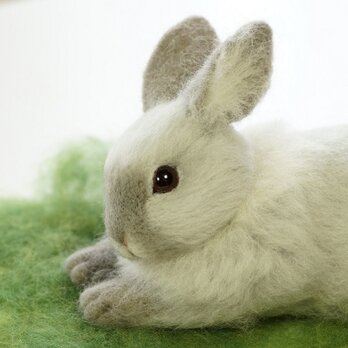 ねそべりうさぎ