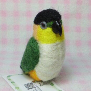 ズグロシロハラインコ mini♪☆選べる2タイプ☆ クリップ付ブローチorマグネット 羊毛フェルト 受注作成の画像