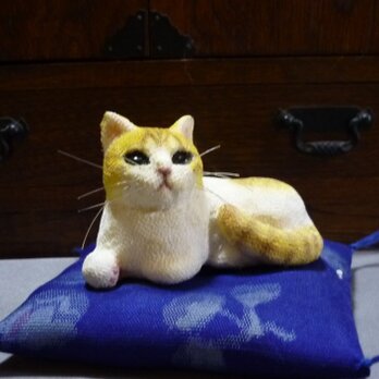 手乗り猫　白茶トラ猫さん　座布団付の画像