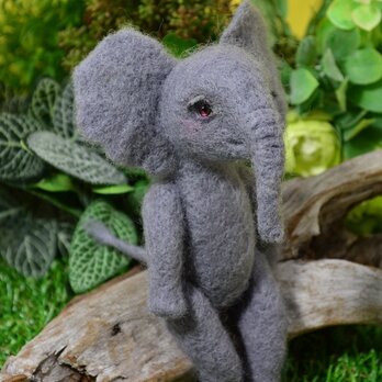 Baby elephant（子象）の画像