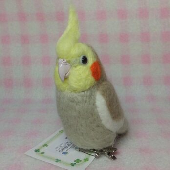 オカメインコ シナモングレー mini☆マグネット/ブローチどちらか選択 羊毛フェルト　受注作成の画像