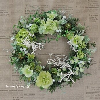 シーブッシュとグリーン：wreathの画像