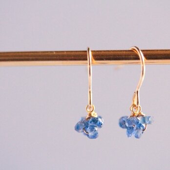 blue mini earringsの画像