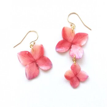 あじさい香る耳元【2A-PC-1】