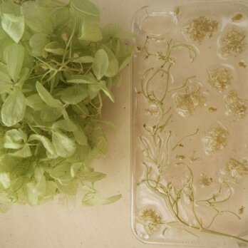 【在庫処分SALE】iPhone4,4Sケース、モス アジサイ茎の画像