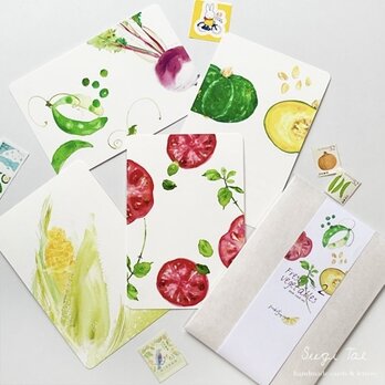 Fresh Vegetables2 大きな野菜のカードセットの画像