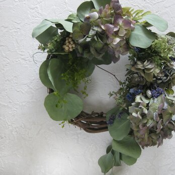 summer wreath（紫陽花とユーカリ）の画像