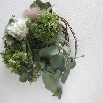 gureen wreath（アナベルとユーカリ）