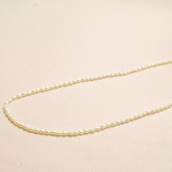 【送料無料】silver925 淡水パールライス　ネックレス