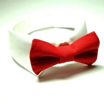 白襟・赤蝶ネクタイ　襟つきカラー（首輪）（鈴）【S/M/L】の画像