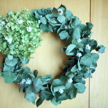 Green wreathの画像