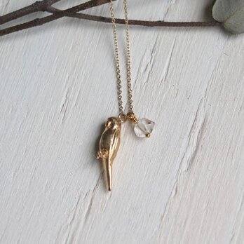 インコのネックレス K14GFチェーン