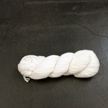 Worsted Cotton（ウーステッド コットン）boneの画像