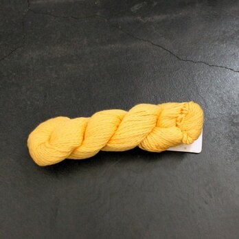 Worsted Cotton dandelionの画像