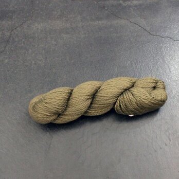 Worsted Cotton（ウーステッド コットン）fernの画像