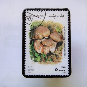 アフガニスタン　きのこ切手ブローチ1411の画像