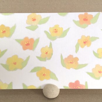 ポストカード ―お花畑の画像