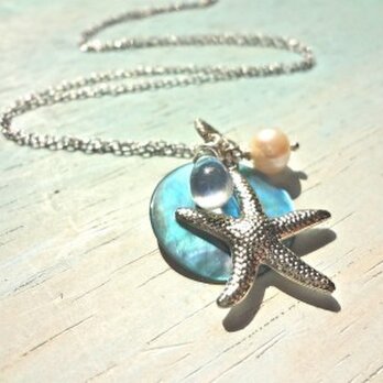 starfish in the blue seaの画像