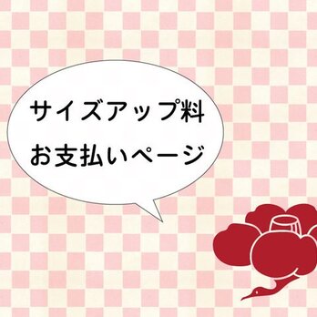 追加料金料お支払いページの画像