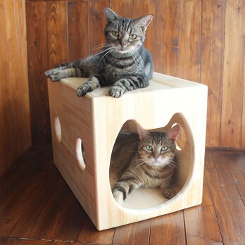 木製猫ハウス第３弾「猫ハウスフラット」・13.CATS.WORKSオリジナルの画像