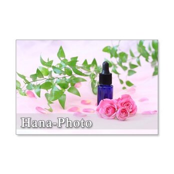 1194) ピンクのバラシリーズ　　ポストカード5枚組 1の画像