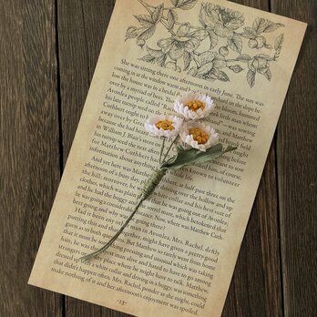〈染め花〉秋色のmini daisyコサージュ(オフホワイト)