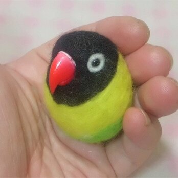 キエリクロボタンインコ★マグネット/ブローチどちらか選択 羊毛の小鳥 受注作成　羊毛フェルト　うちのこオーダー可能の画像