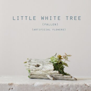 Little white tree (fallen)の画像