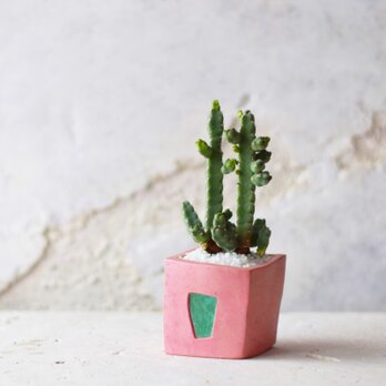 patina pot pink (square)現品の画像