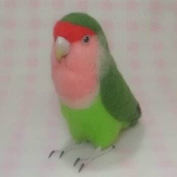 ライフサイズ♪ コザクラインコ ノーマル(抹茶色)羊毛フェルト　受注作成　羊毛インコ　メモリアル　リアル　うちの子オーダー可能の画像