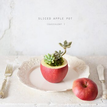 sliced　apple pot　(realistic paint）多肉の画像