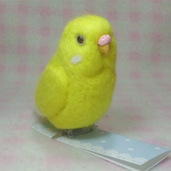 セキセイインコ ルチノー赤目 mini♪☆マグネット/ブローチどちらか選択　受注作成　羊毛フェルトの画像